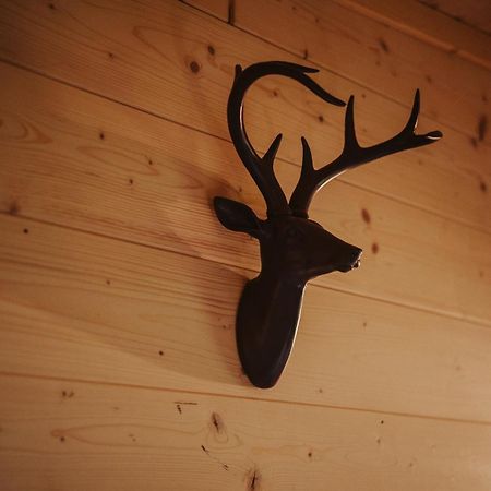 Hotel Treehouse Tucapy Zewnętrze zdjęcie
