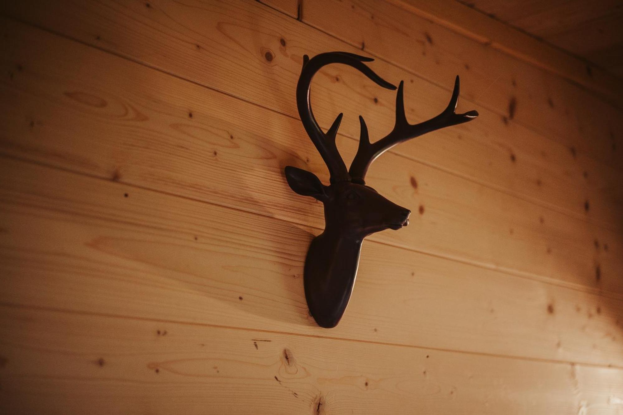 Hotel Treehouse Tucapy Zewnętrze zdjęcie